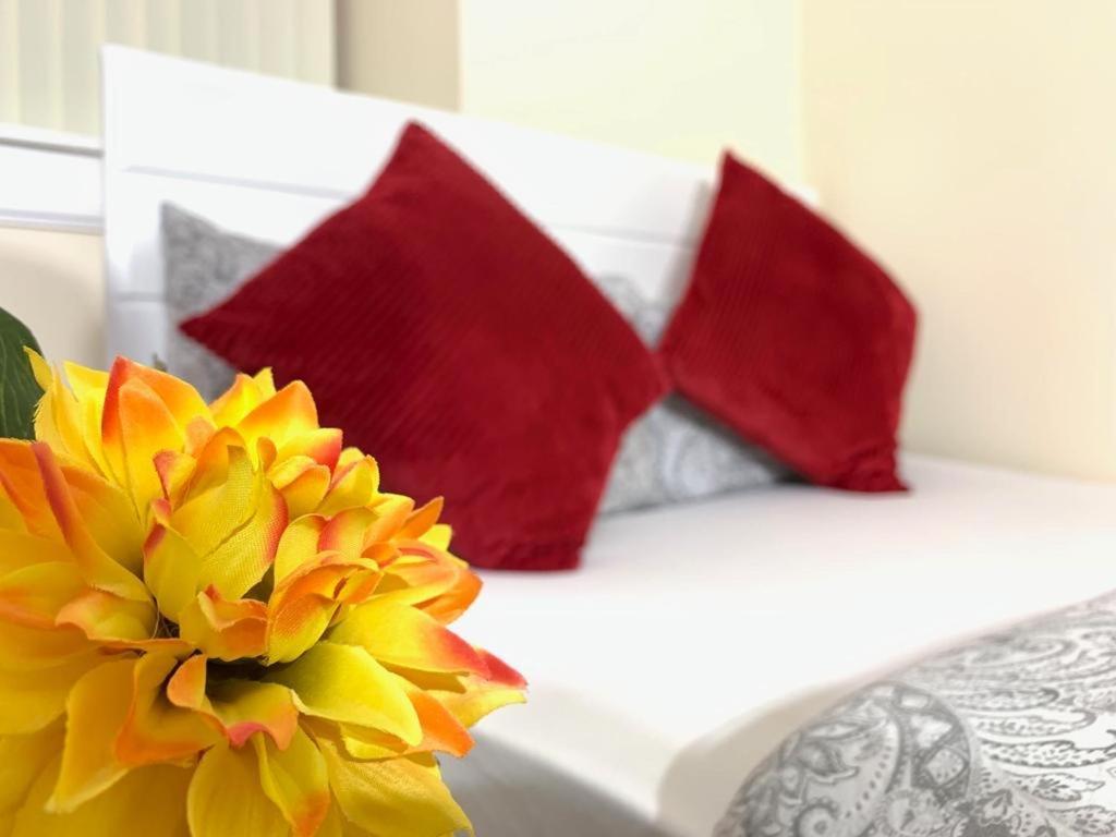 Edinburgh Ocean Inn المظهر الخارجي الصورة